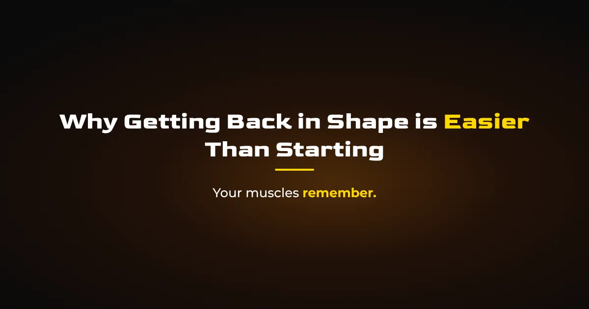 Muscle Memory Explained: Why Getting Back in Shape Is Easier